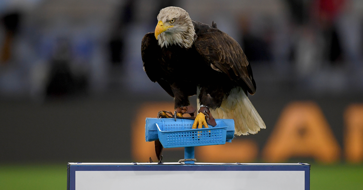 Flaminia, aquila della Lazio